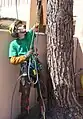 Un arboriste-grimpeur entièrement équipé.