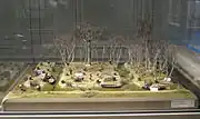 Terrées (Terme rural : Petite pièce de terre, exhaussée par ce qu'on retire de larges et profonds fossés qui l'entourent. Littré). Maquette, salle 2: Marais littoraux