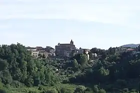 Terricciola