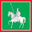 Drapeau de Tetiïv
