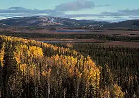 Tetlin (Alaska)
