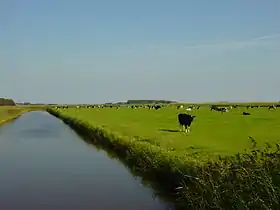 Texel (Pays-Bas)