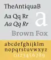 TheAntiqua.