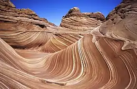 The Wave.