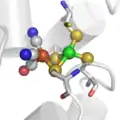Le site actif des hydrogénases "FerFer".