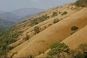 Kamananga
