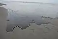 Dégâts d'une marée noire sur le rivage.