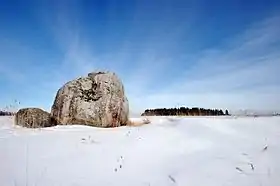 Tiirukivi (et).