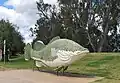 La morue de Murray de Tocumwal