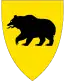 Blason de Tokke