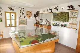 Le musée