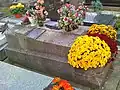 Tombe de Mireille Balin.