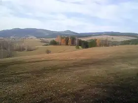 Tometino Polje
