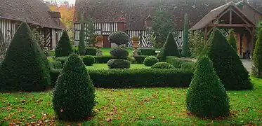 Jardin à la française, topiaires du manoir.