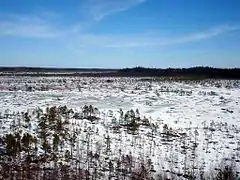 Parc national de Torronsuo.