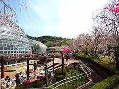 Togokusan Parc du fruit