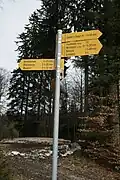 De nombreux sentiers pédestres parcourent le Jorat.