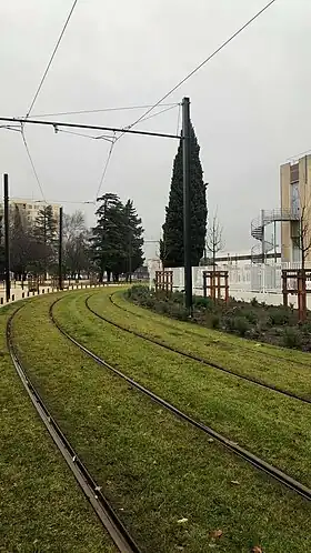 Voies proches de la Station Barbière - Cap Sud