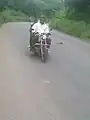 Moto-taximan