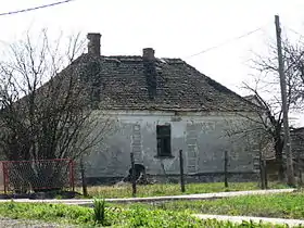 Trbušac