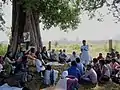 Meeting à l'ombre d'un arbre