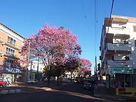 Três Passos