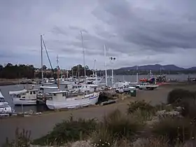 Triabunna