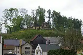 Triebel/Vogtl.