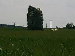 Image illustrative de l’article Drue à Gargantua