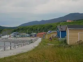 Trout River