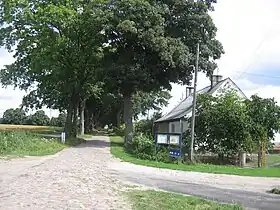 Trzeszczyna