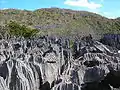 Tsingy d'Ankarana Mahamasina Antsiranana II