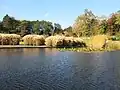 Les jardins en automne