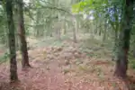 Tumulus.