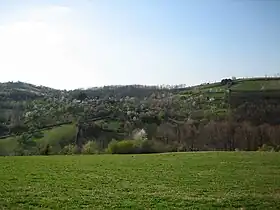 Tupanci
