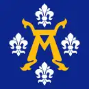 Drapeau de Turku