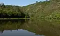 Entre Dreisbach et Mettlach, la Saarschleife