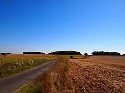Tumuli de Tusson