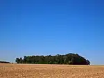 Tumulus du Vieux Breuil.
