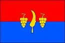 Drapeau de Tvarožná Lhota