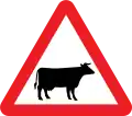 Bovins
