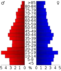 Pyramide des âges.