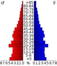 Pyramide des âges.