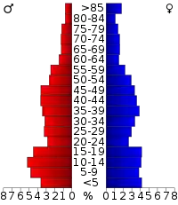 Pyramide des âges.