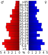 Pyramide des âges.