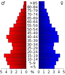 Schéma représentant la population du comté, par tranche d'âge. En rouge, à gauche, les femmes, en bleu à droite, les hommes.