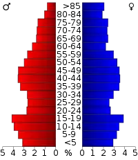 Pyramide des âges.