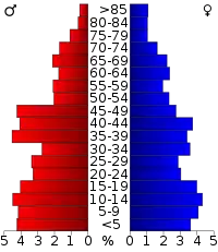 Pyramide des âges.