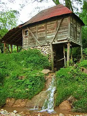 Donja Krćina
