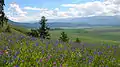 Vue de la steppe à l'ouest de Tchendek